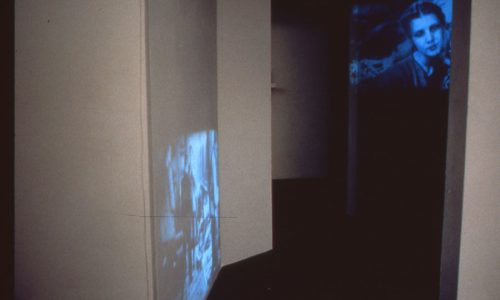 Project for a Divided House 1981